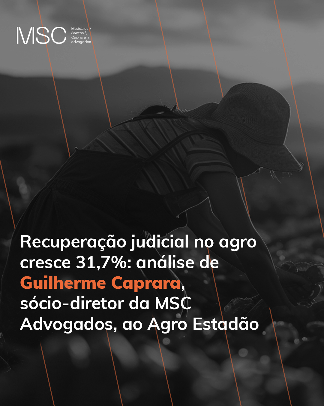 MSC Advogados post 3